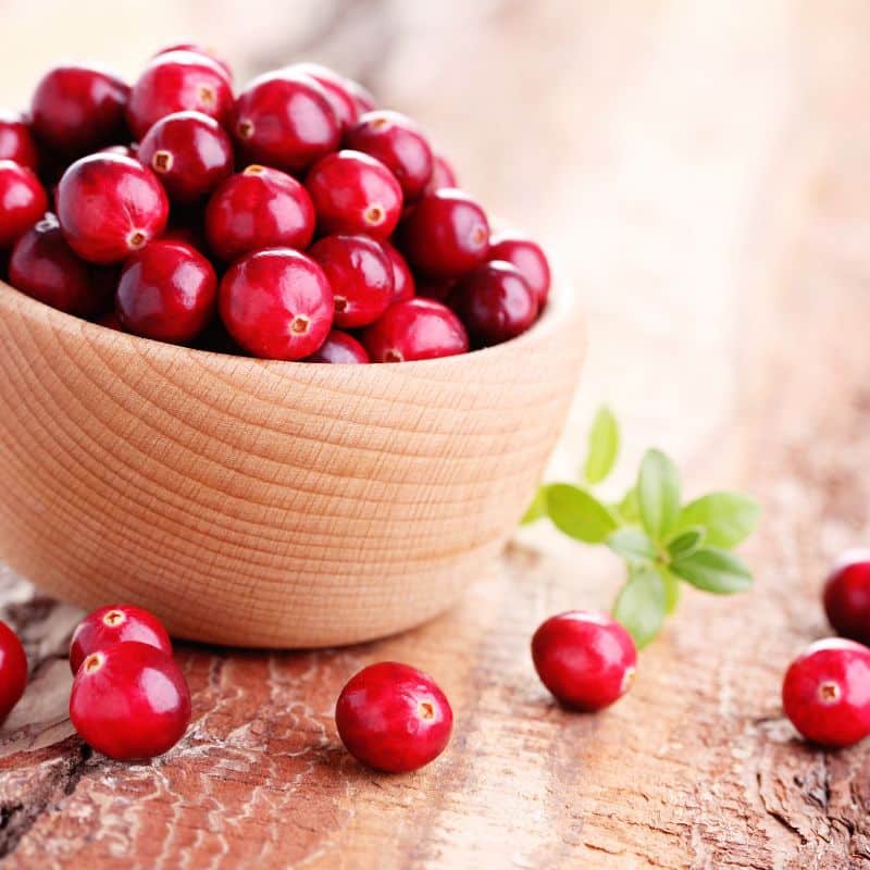 Cranberry ricotta cream pie the weigh station maintenance recipe