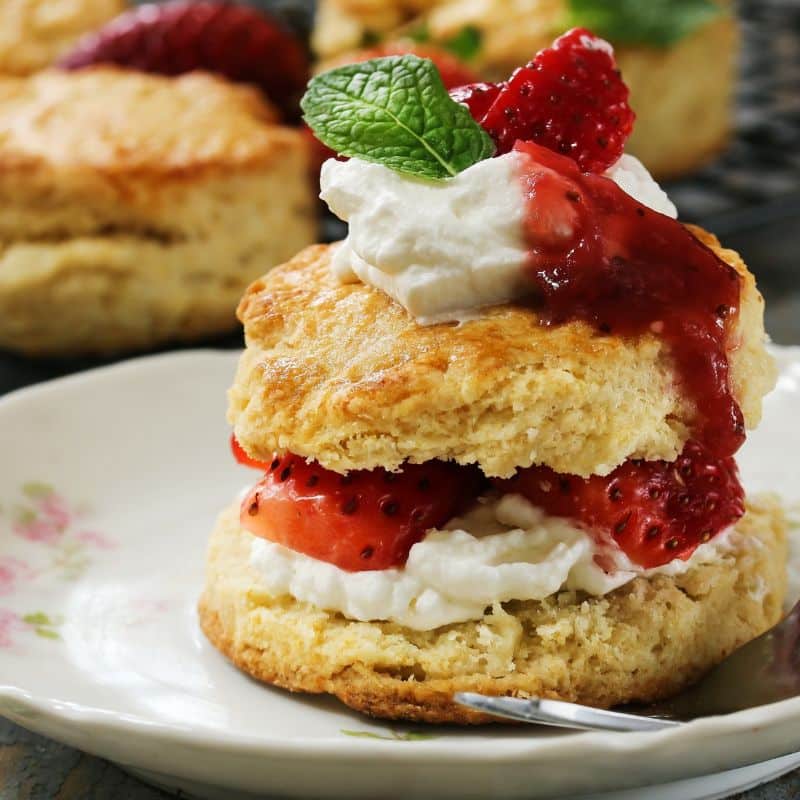 Strawberry shortcake the weigh station maintenance recipes