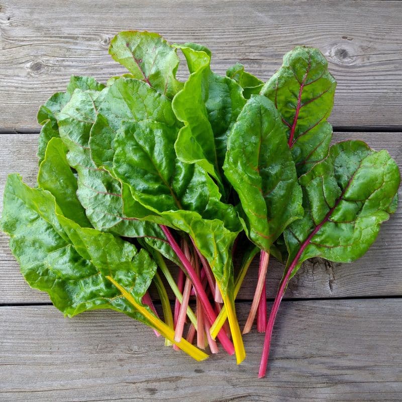 Swiss chard salad the weigh station maintenance recipes