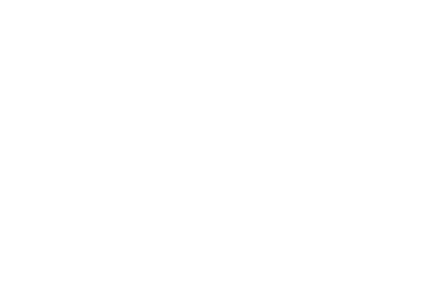 The weigh station logo symbol white